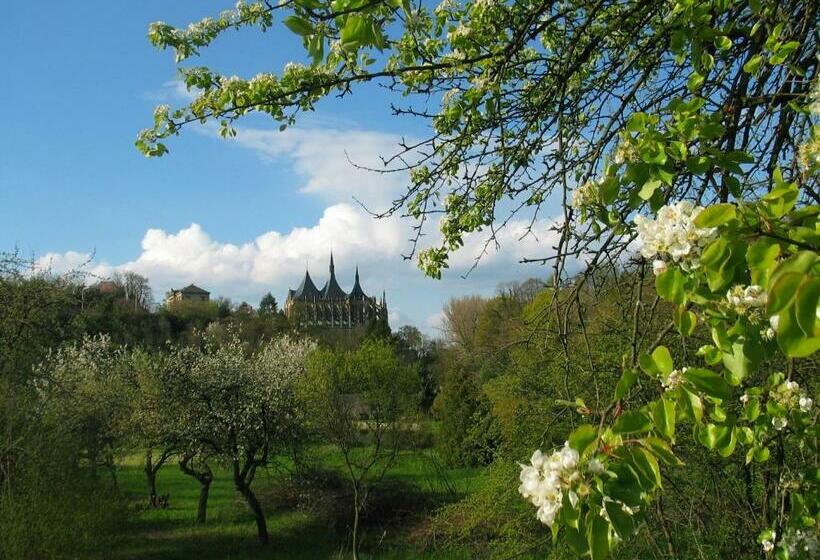 Bed and Breakfast Penzion Art Kutna Hora