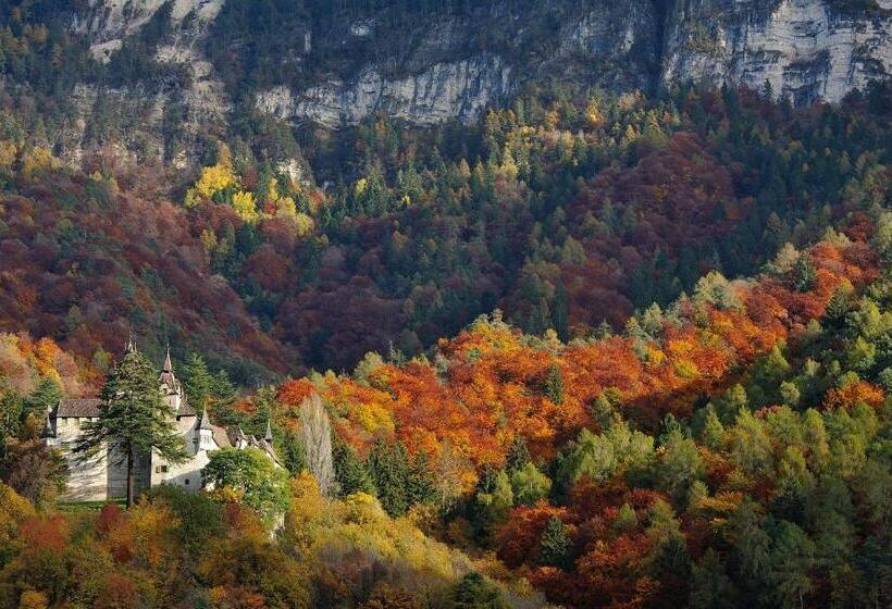 Bed and Breakfast Schiessstandhof