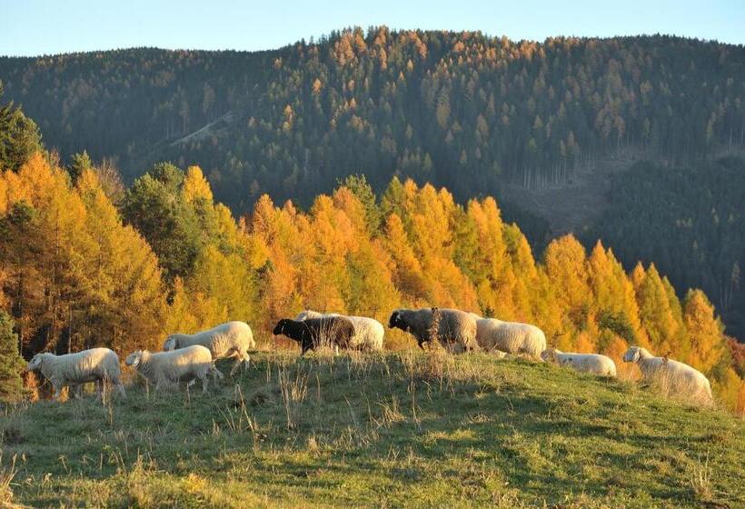 Bed and Breakfast Schiessstandhof