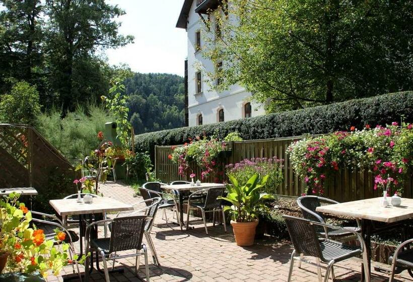 Отель Garni Elbgarten Bad Schandau