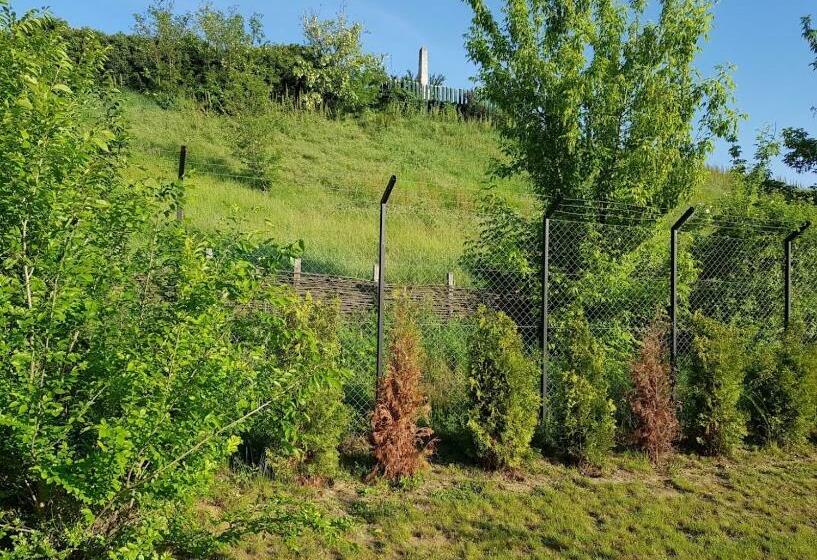 膳宿费 Ildikó Vendégház Szabolcs