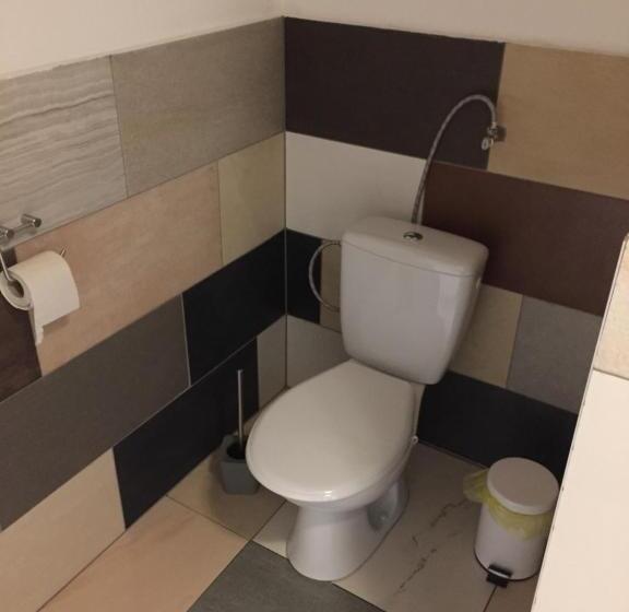 Pensjonat Víz Party Vendégház