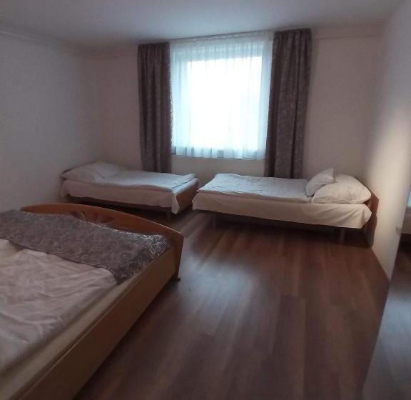 Pensjonat Víz Party Vendégház