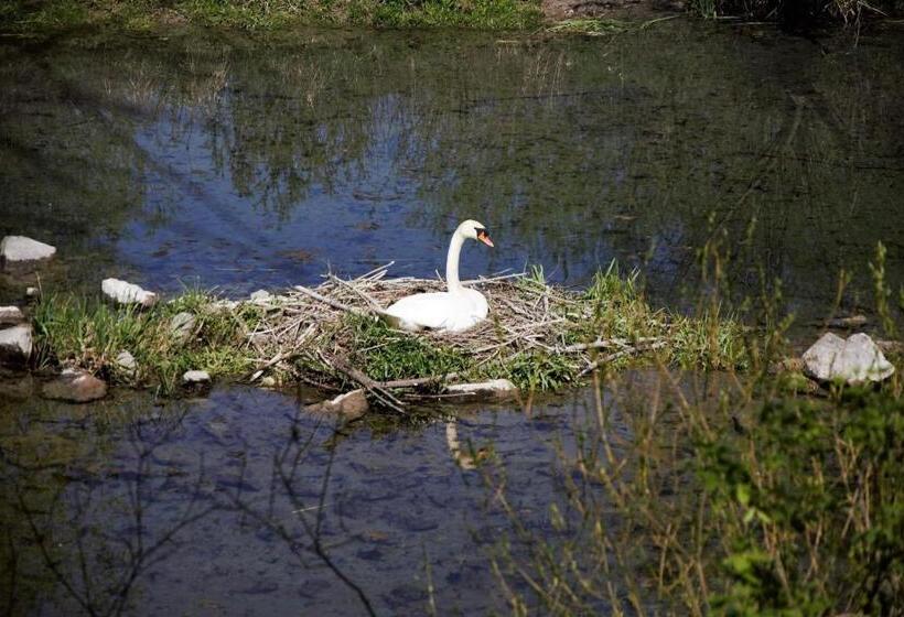 Pensjonat Víz Party Vendégház