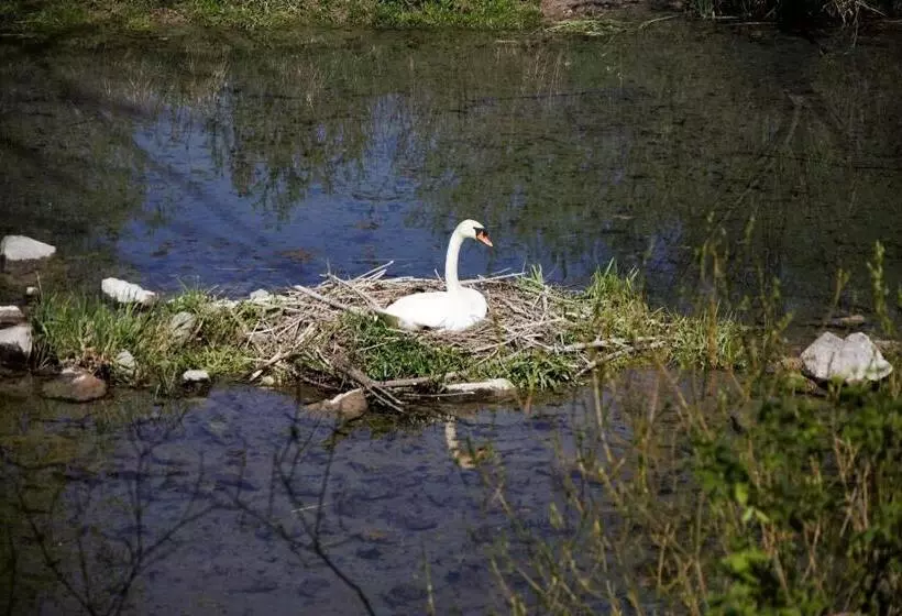 Majatalo Víz Party Vendégház
