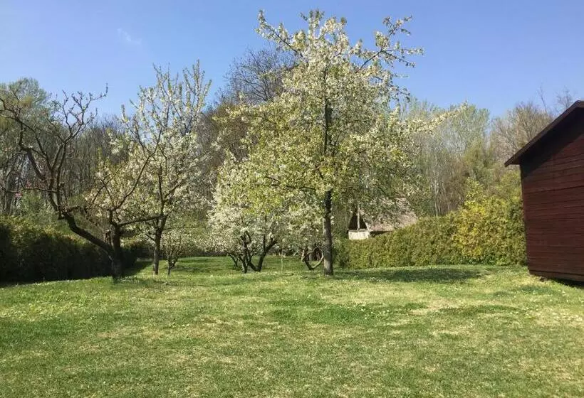 Majatalo Víz Party Vendégház