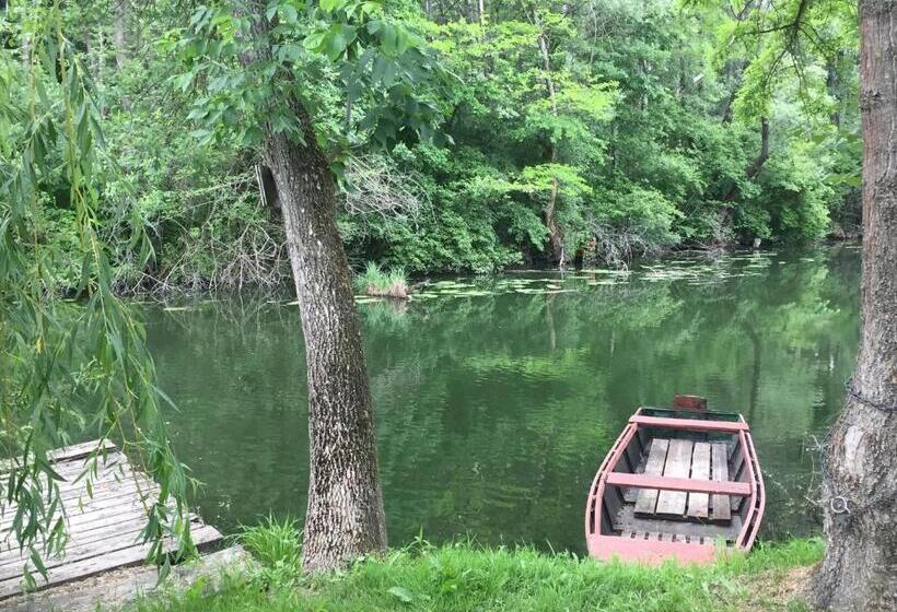 Pensjonat Víz Party Vendégház