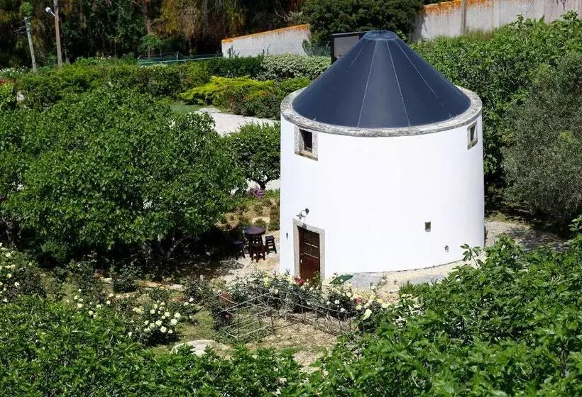 ベッドアンドブレックファースト Olá Belém! Cozy Windmill, Stunning Views To Lisboa