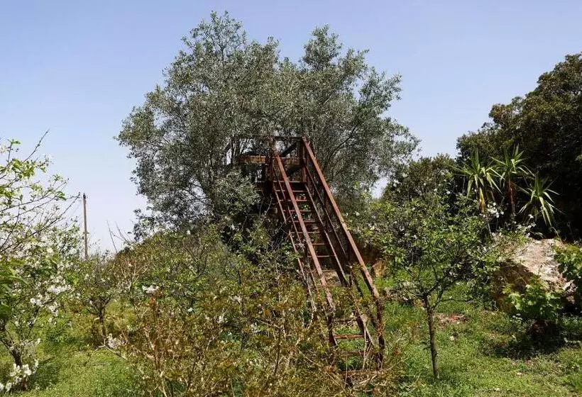ベッドアンドブレックファースト Olá Belém! Cozy Windmill, Stunning Views To Lisboa