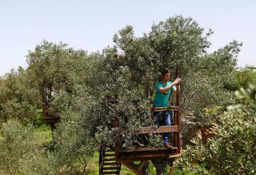 ベッドアンドブレックファースト Olá Belém! Cozy Windmill, Stunning Views To Lisboa