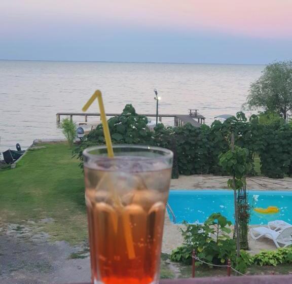 Pensão Poarta Apelor