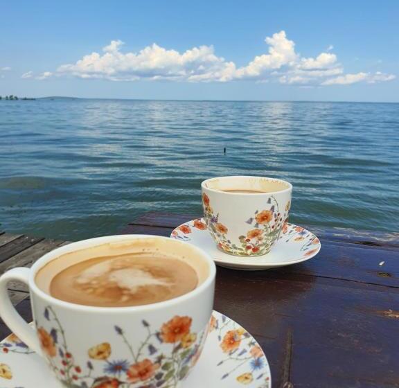 Pensão Poarta Apelor