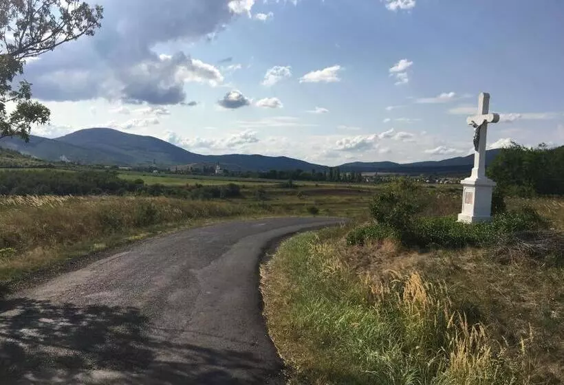 ペンション Provinum Borászat és Vendégház
