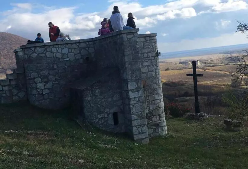 ペンション Provinum Borászat és Vendégház