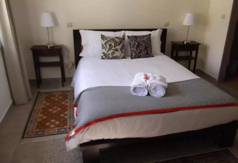 Domvs Gaia Ghouse B&b
