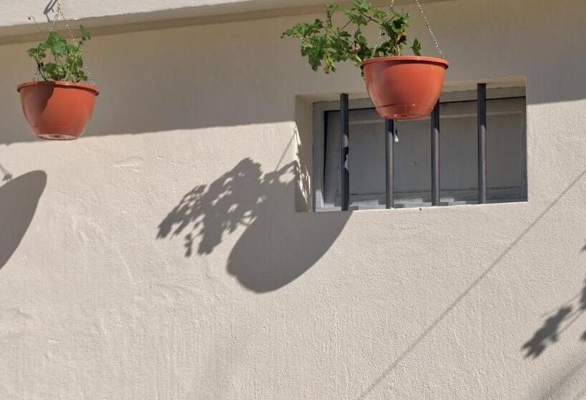 Domvs Gaia Ghouse B&b