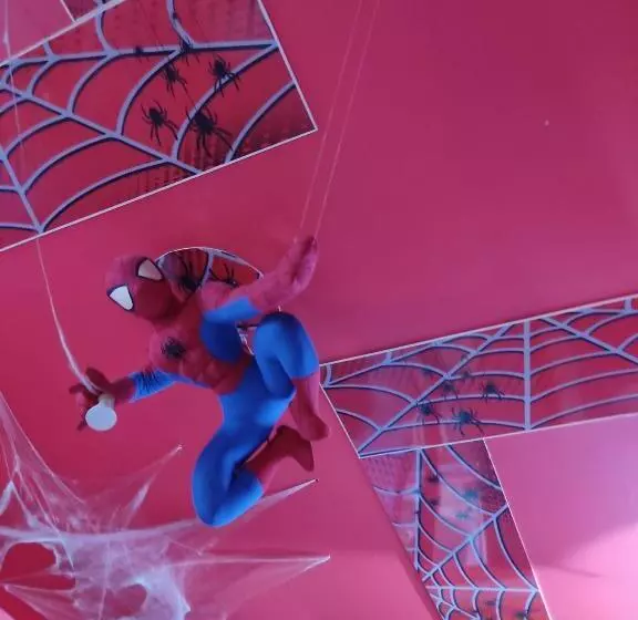 پانسیون Affitto Breve Spider Man House