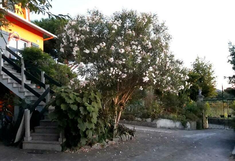 بنسيون Casa Gwendoline   Albergue / Hostel / Al   Caminho Da Costa