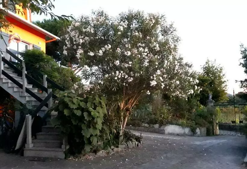 ペンション Casa Gwendoline   Albergue / Hostel / Al   Caminho Da Costa