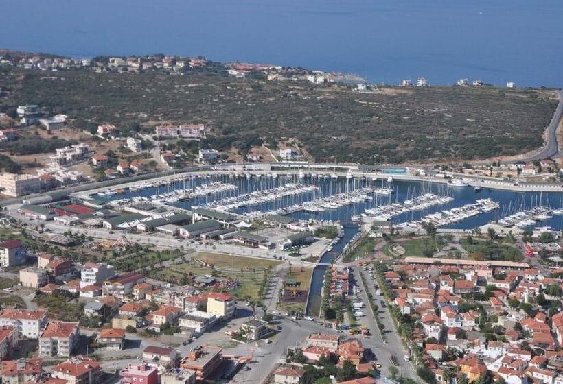 بنسيون Ion Slow City Adult 12