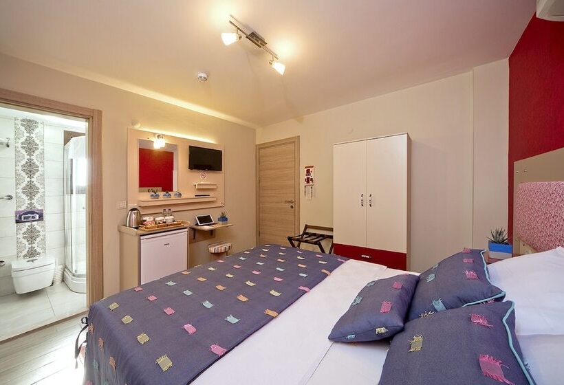 بنسيون Ion Slow City Adult 12