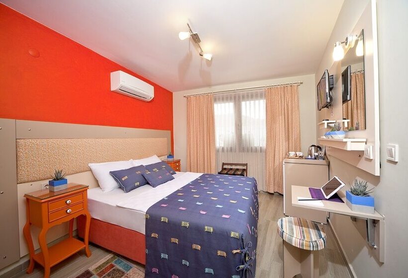 بنسيون Ion Slow City Adult 12