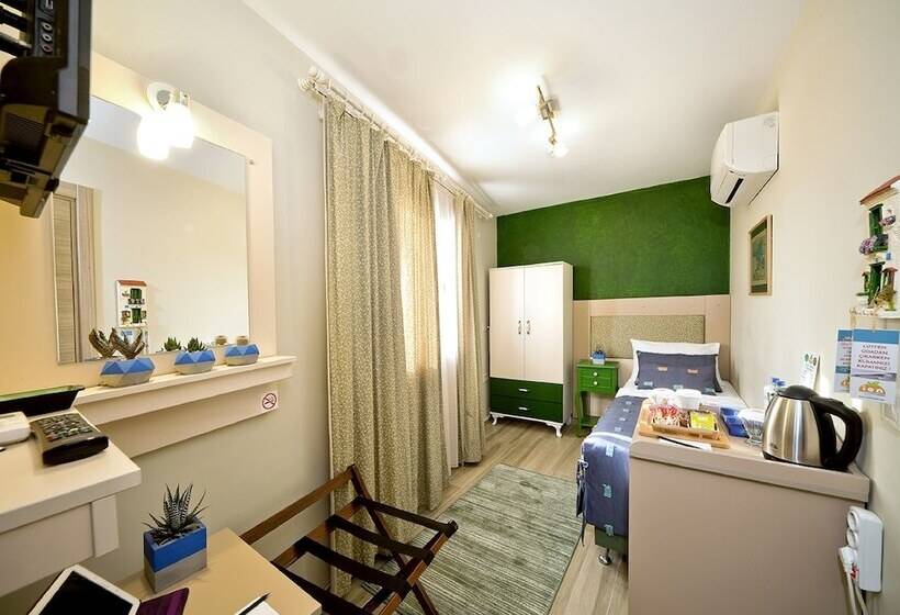 بنسيون Ion Slow City Adult 12