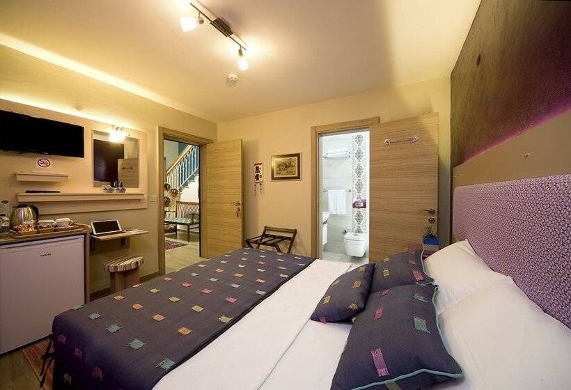 بنسيون Ion Slow City Adult 12