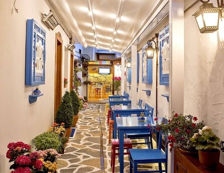 بنسيون Ion Slow City Adult 12