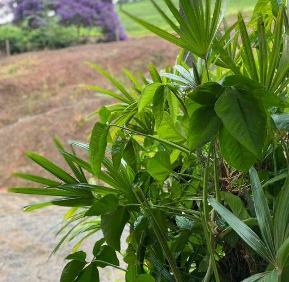 Pensão Recanto Caminho Das águas