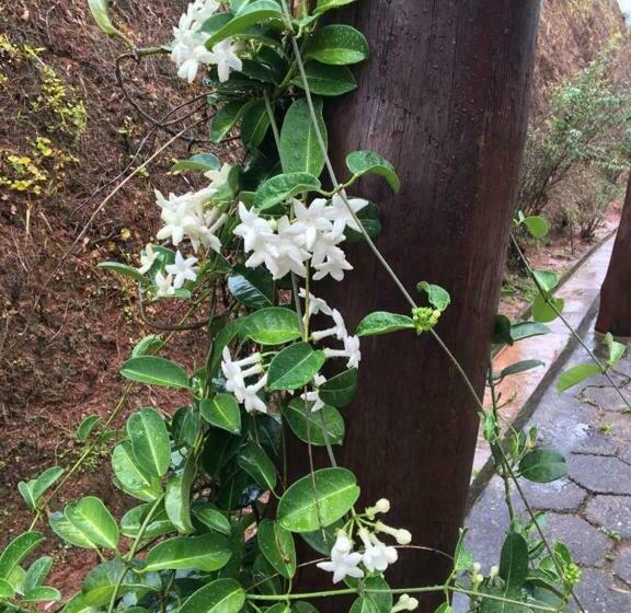 Pensão Recanto Caminho Das águas