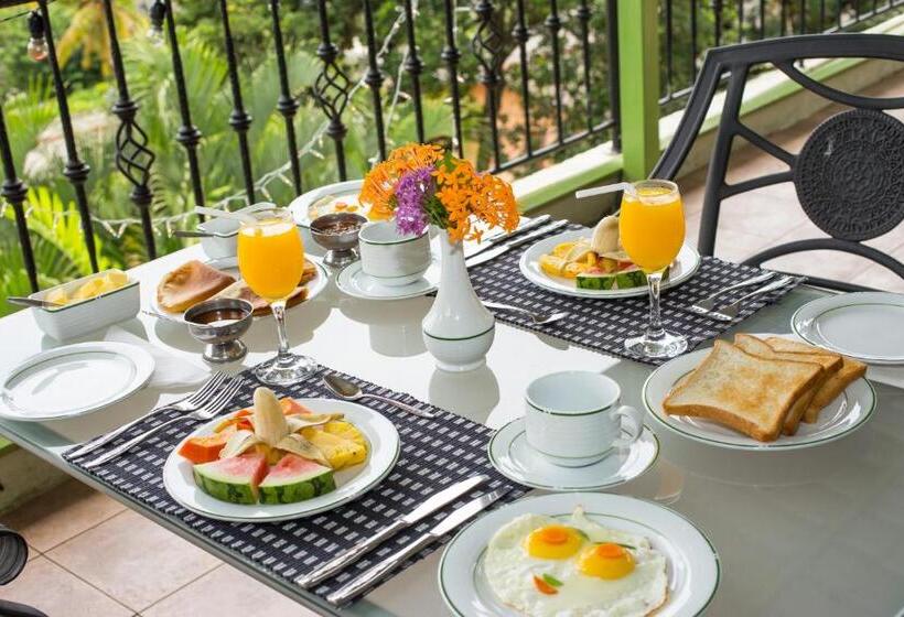 בית מלון כפרי Amanda Hills