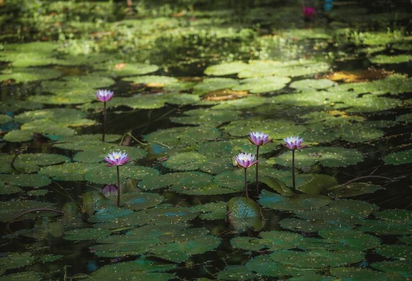 Hotel Heritance Ayurveda