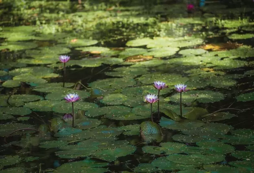 Hotel Heritance Ayurveda