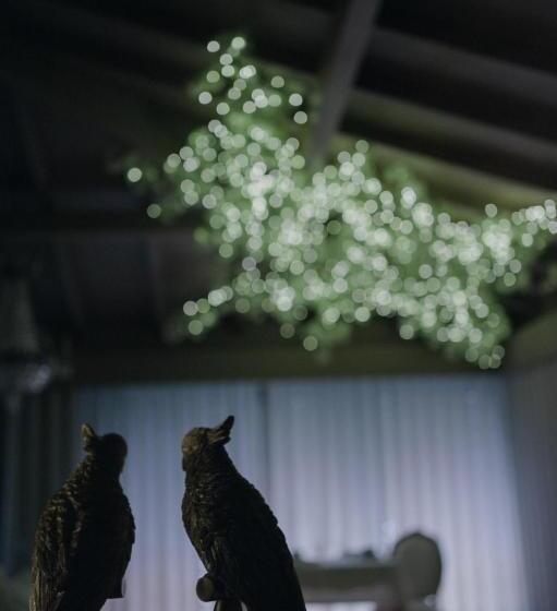 Quinta Do Burgo   Nature