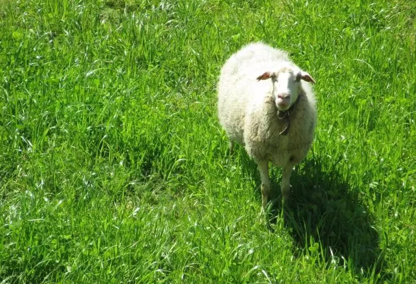 Quinta Do Burgo   Nature