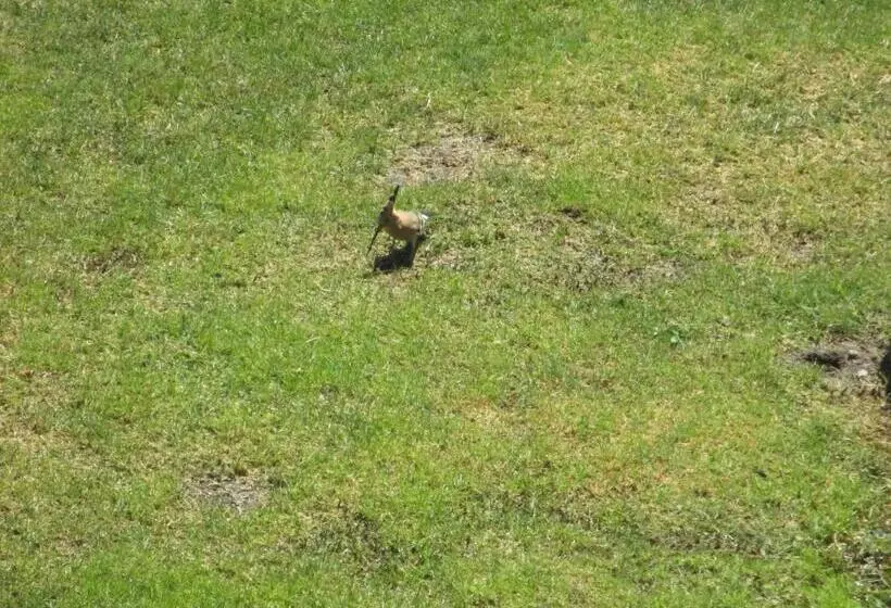 Quinta Do Burgo   Nature