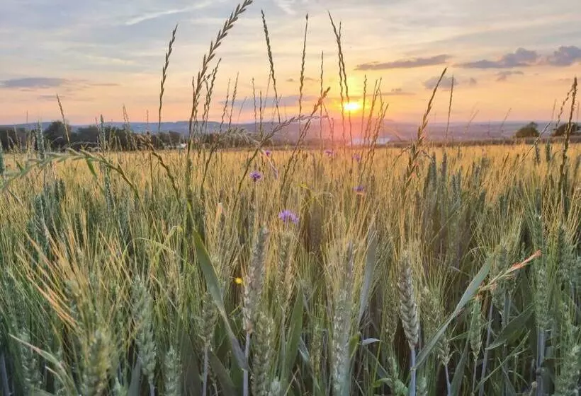Retkeilymaja Landgasthaus Zum Engel