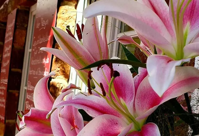 Retkeilymaja Landgasthaus Zum Engel