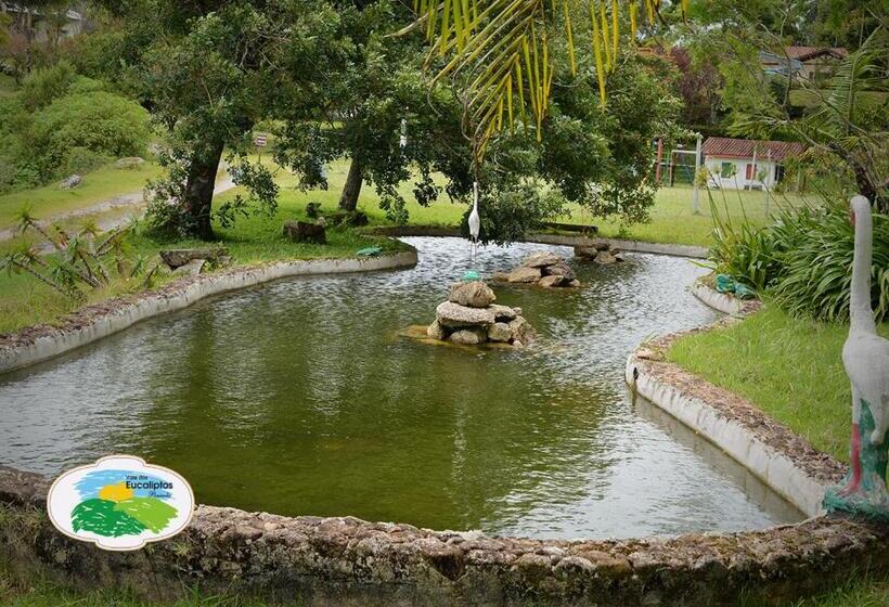 호스텔 Vale Dos Eucaliptos