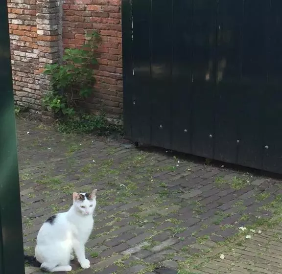 Aamiaismajoitus (B&B) Genesis Voorschoten