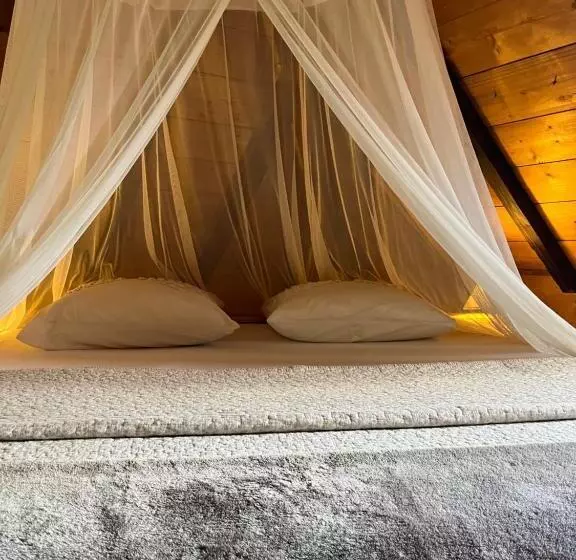 تختخواب و صبحانه Habitation La Reine Du Camp Chambres D Hôtes