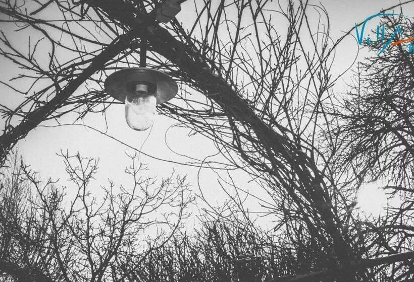 Aamiaismajoitus (B&B) Villami