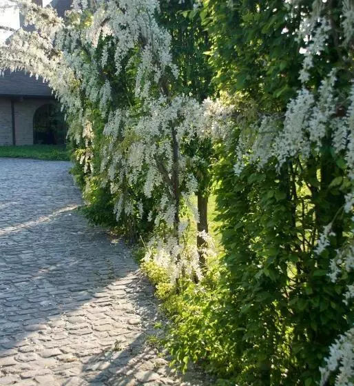 Aamiaismajoitus (B&B) Villami