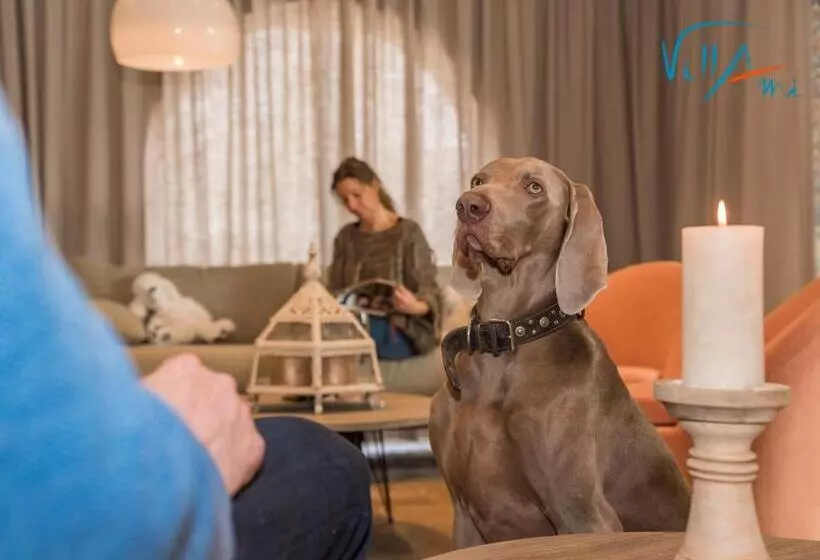 Aamiaismajoitus (B&B) Villami