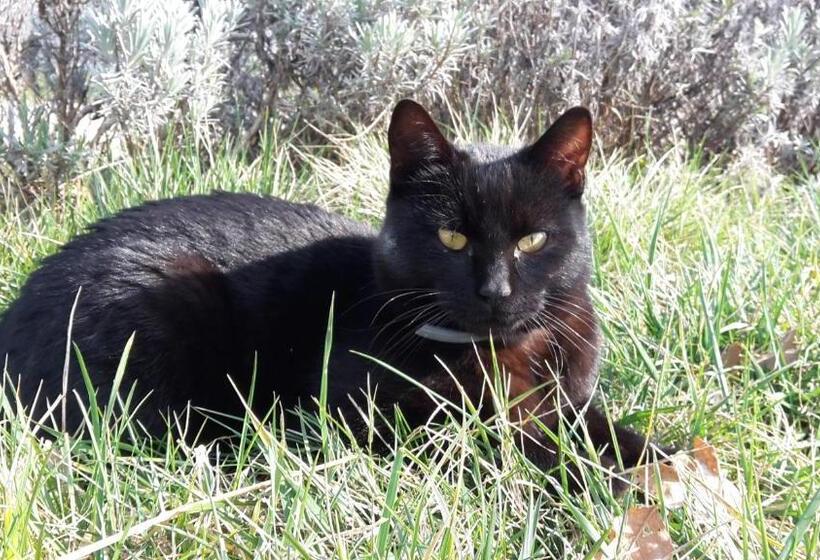 Отель Bioagriturismo Poderaccio