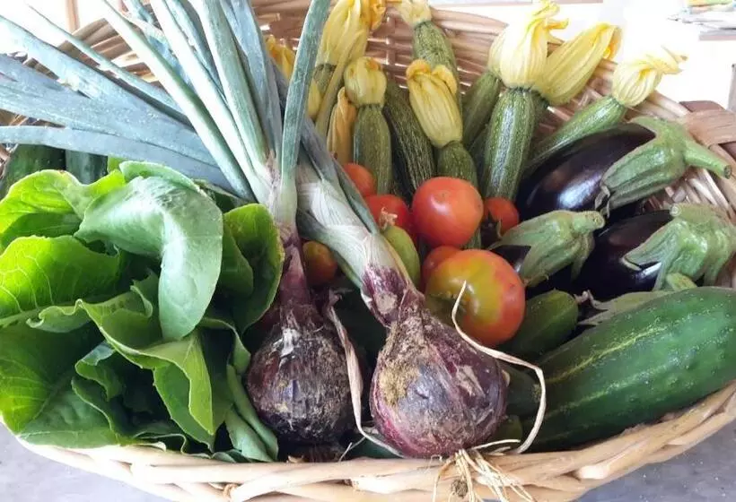ホテル Bioagriturismo Poderaccio