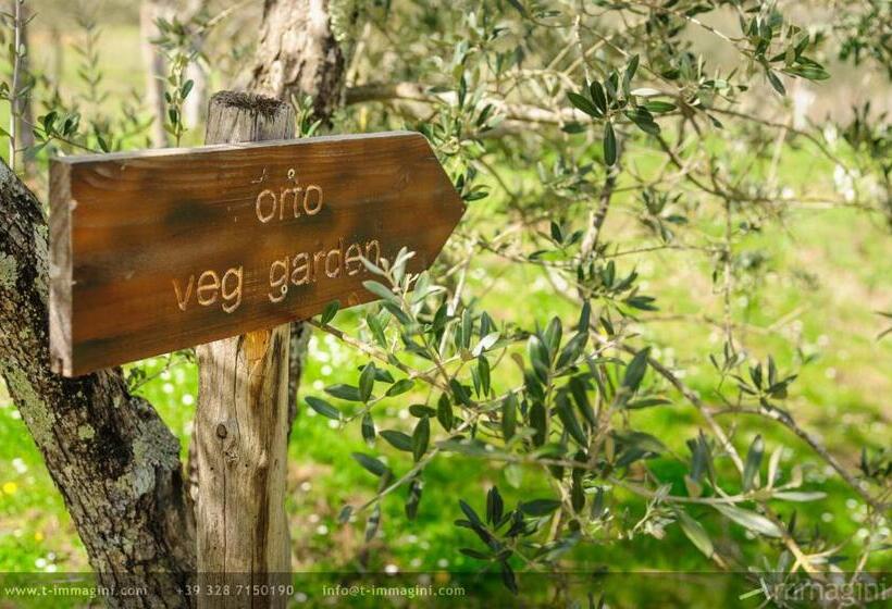 Отель Bioagriturismo Poderaccio