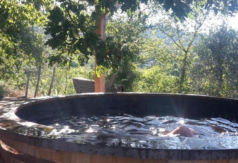 Отель Bioagriturismo Poderaccio