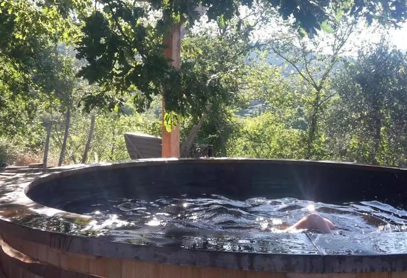 ホテル Bioagriturismo Poderaccio